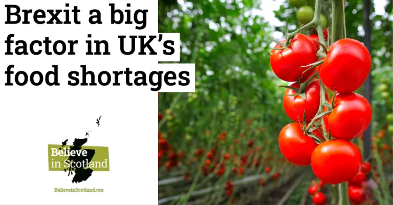 Brexit a big factor in UK's food shortages